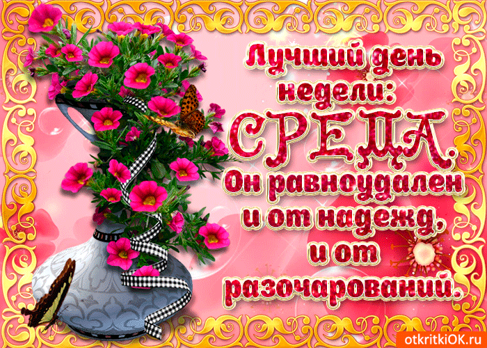 Открытка Открытки на среду - Открытка: нежная роза в кружке, бабочка, розовый фон | Красивая открытка #75