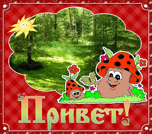 Открытка Привет - Привет! Открытка с божьей коровкой и грибом. | Красивая открытка #300