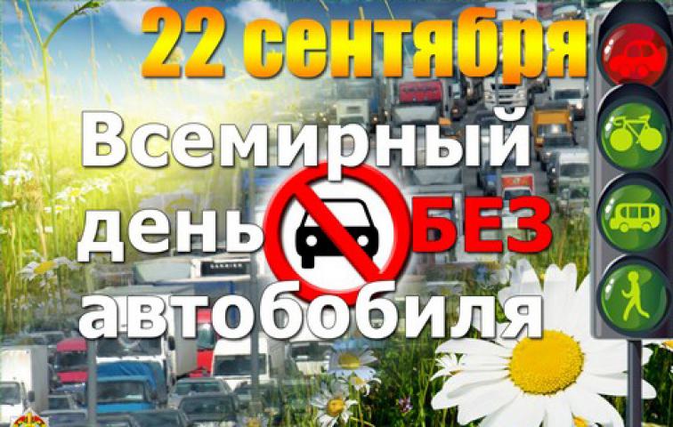Открытка Открытки на день без автомобиля - Открытка с 22 сентября: цветы и дорога | Красивая открытка #12