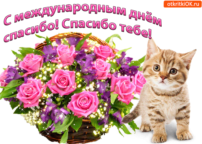 Открытка Открытки с днем спасибо - Открытка с котенком и цветами | Красивая открытка #53