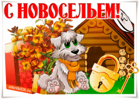 Открытка Открытки с новосельем - Открытка с котенком и подарками | Красивая открытка #15