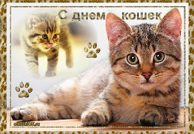 Открытка С Всемирным днём кошек - Открытка с котятами: милые кошки для праздника | Красивая открытка #71