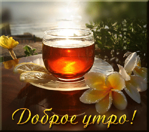 Открытка открытки с добрым утром - Открытка с чаем и цветами на фоне моря | Красивая открытка #230