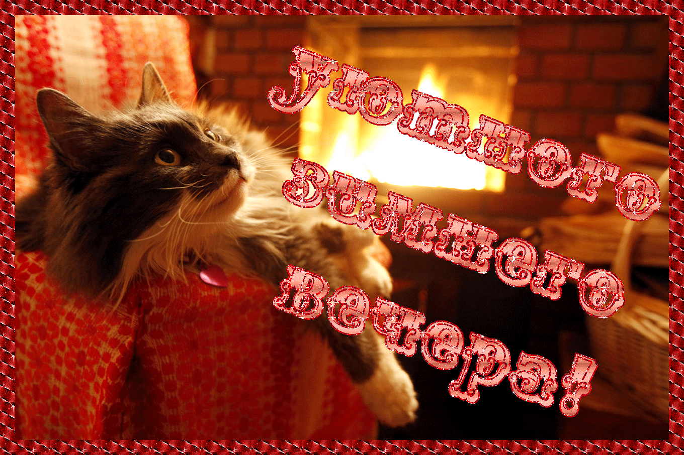 Открытка Хорошего вечера - Пушистый кот у камина: Новогодняя открытка | Красивая открытка #74