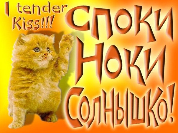 Открытка открытки с пожеланиями спокойной ночи  - Открытка с рыжим котенком | Красивая открытка #9