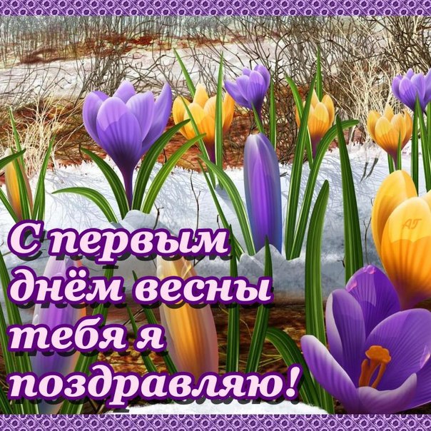 Открытка открытки с первым весенним днем - Открытка: С Первым Днём Весны! Фиолетовые подснежники на снегу. | Красивая открытка #2