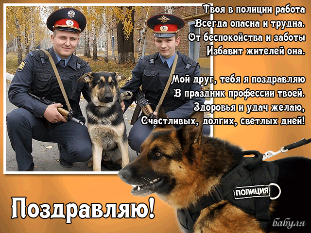 Открытка День полиции - Поздравительная открытка с полицейскими и собакой | Красивая открытка #53