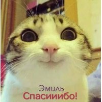 Открытка Открытки с именем Эмиль - Котенок с большими глазами - открытка | Красивая открытка #20