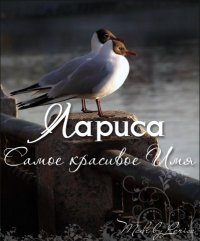 Открытка открытки с именем Лариса - Чайка на открытке: фото, природа, море | Красивая открытка #4