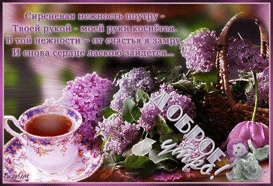 Открытка С сиренью - Открытка: Сирень и чашка чая | Красивая открытка #181