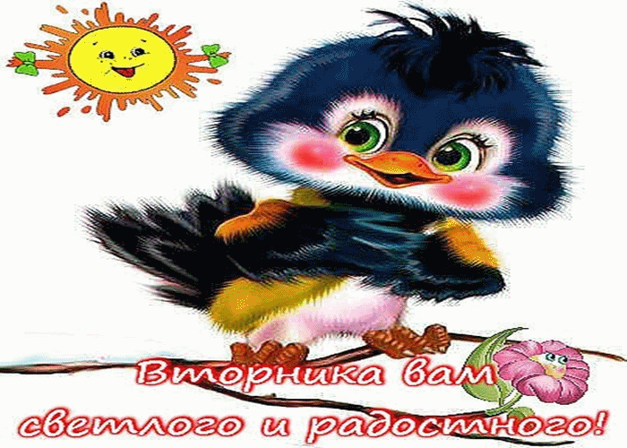 Открытка Открытки на вторник - Открытка с милым птенчиком и солнышком | Красивая открытка #67