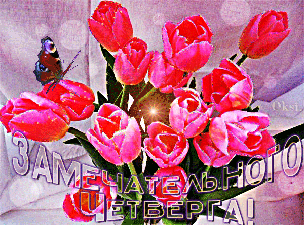 Открытка Открытки на четверг - Букет розовых тюльпанов с бабочкой | Красивая открытка #125