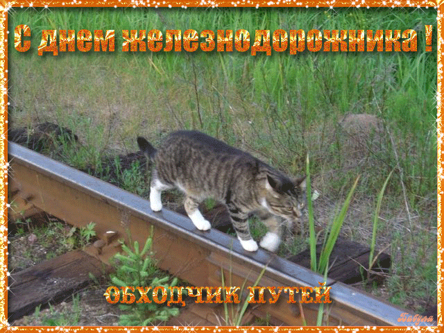 Открытка Открытки с днем железнодорожника - Кошка на заборе: открытка с котиком | Красивая открытка #75
