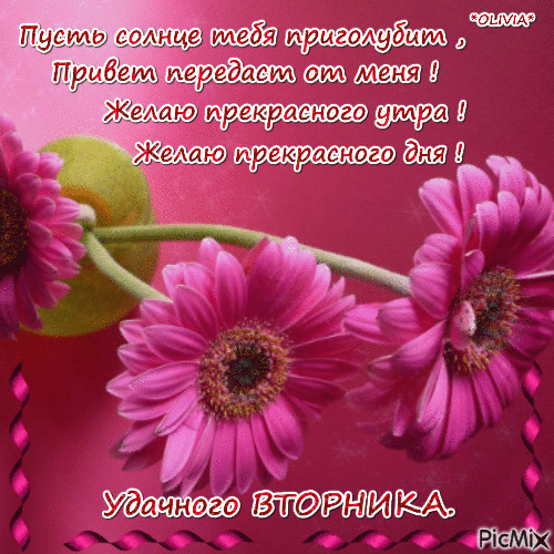Открытка Открытки на вторник - Розовые цветы: открытка с нежностью и красотой | Красивая открытка #94
