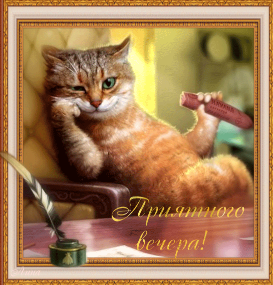 Открытка Хорошего вечера - Открытка с котенком: Приветствие, перо, книга | Красивая открытка #46