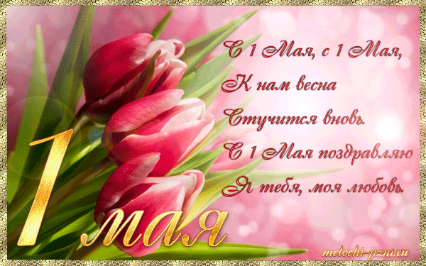 Открытка 1 мая - С Днём 1 Мая! Красивая открытка с тюльпанами | Красивая открытка #138