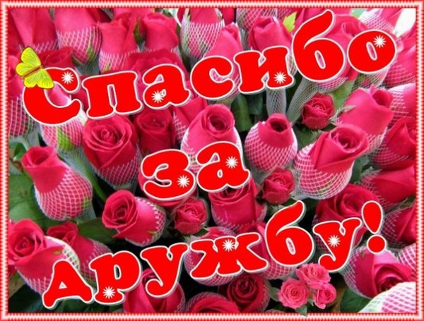 Открытка Спасибо за дружбу - Открытка с розами | Красивая открытка #19