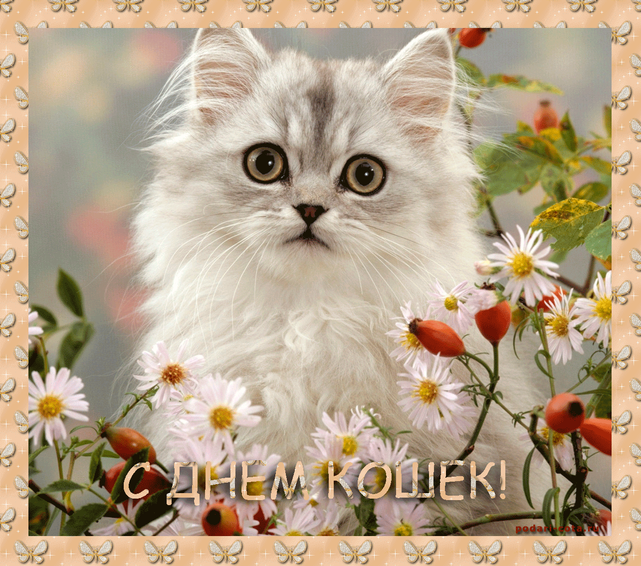Открытка День Кошек - Открытка с котенком и цветами: С Днем кошек! | Красивая открытка #55