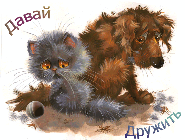 Открытка Давай мириться - Котенок и щенок: милая открытка с животными | Красивая открытка #11