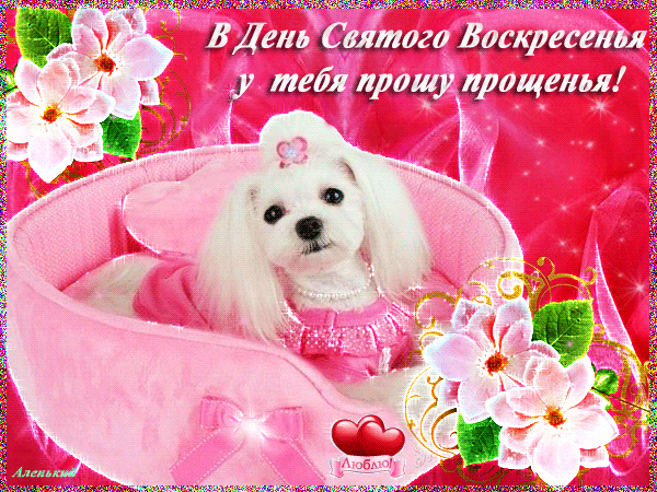Открытка Прощеное воскресенье - Милая собачка в розовом: открытка с любовью | Красивая открытка #16