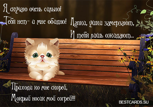 Открытка Я скучаю  - Открытка с котенком на скамейке - С Днем Рождения! | Красивая открытка #28
