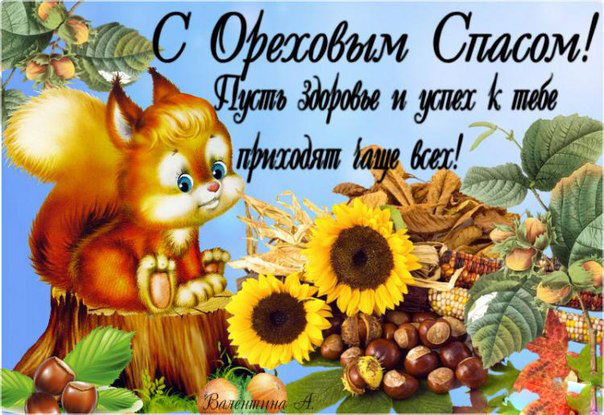 Открытка Ореховый спас - Белка с подсолнухами: открытка с природой | Красивая открытка #73