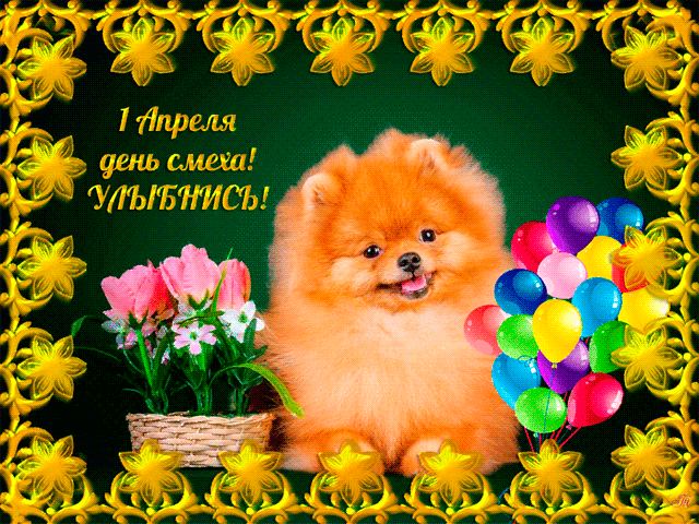 Открытка 1 апреля - Открытка с щенком и шариками  С Днем смеха! | Красивая открытка #48