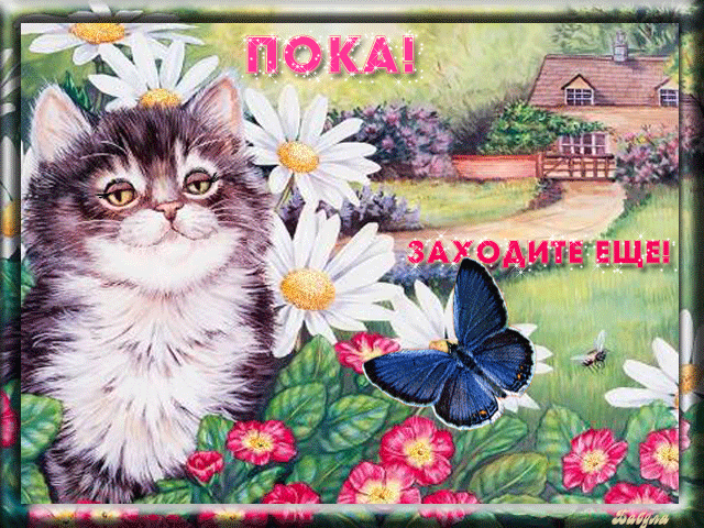 Открытка Прощания - Открытка с котенком, цветами и бабочкой | Красивая открытка #31