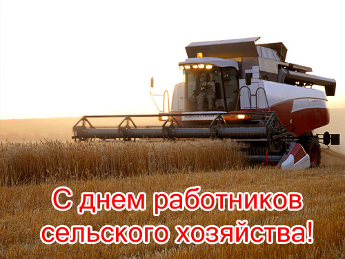 Открытка Открытки на день работников сельского хозяйства и перерабатывающей промышленности  - С Днём Урожая! Открытка для сельхозработников | Красивая открытка #23