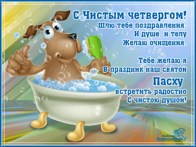 Открытка Открытки с Чистым Четвергом - Собака в ванной с пеной: открытка с днем рождения | Красивая открытка #30