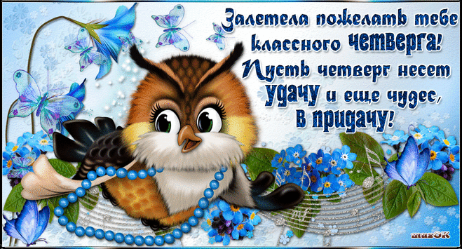 Открытка Четверг - Сова с цветами и бабочками - открытка | Красивая открытка #42