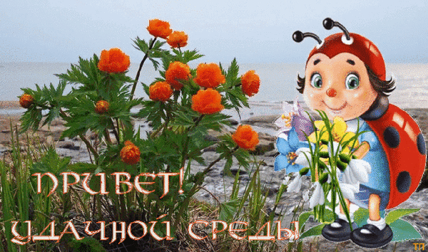 Открытка Открытки на среду - Божья коровка с подснежниками: открытка к весне | Красивая открытка #128
