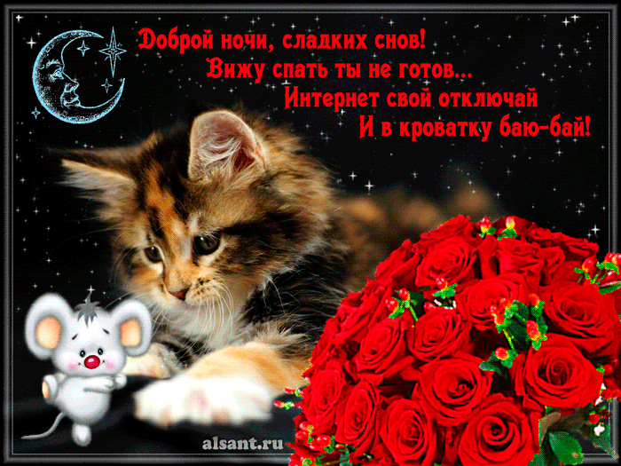 Открытка Спокойной ночи - Открытка: Кот и розы - С Днём рождения! | Красивая открытка #269