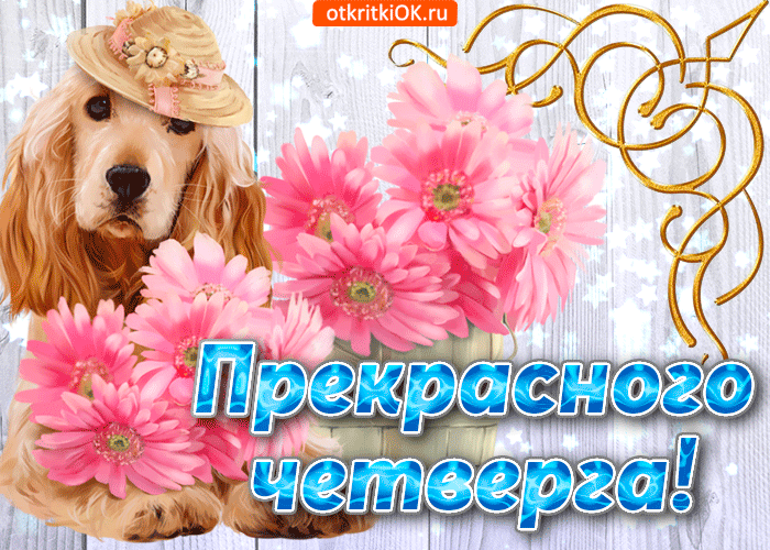 Открытка Открытки на четверг - Открытка с щенком в шляпе и цветами | Красивая открытка #75