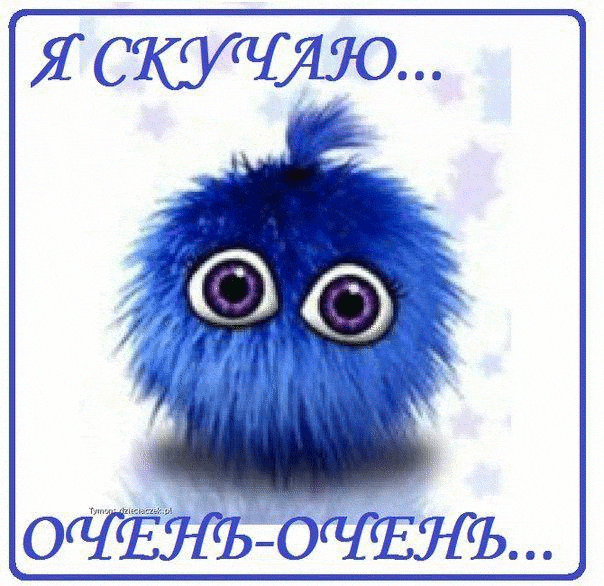 Открытка Скучаю - Синий пушистый котенок с большими глазами | Красивая открытка #267