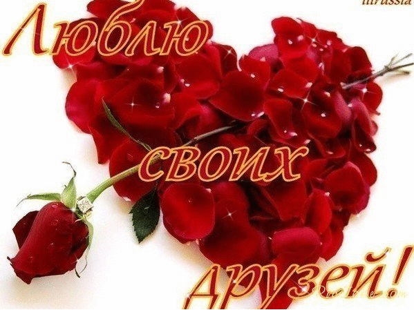 Открытка Люблю друзей - Открытка с красными розами | Красивая открытка #6