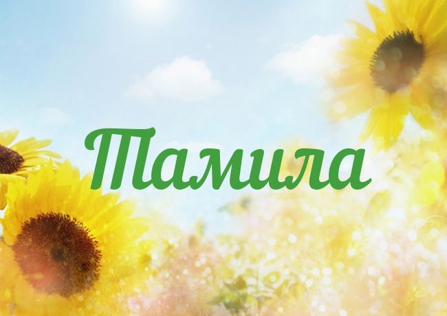 Открытка открытки с именем Тамила - Открытка с подсолнухами на фоне неба | Красивая открытка #24