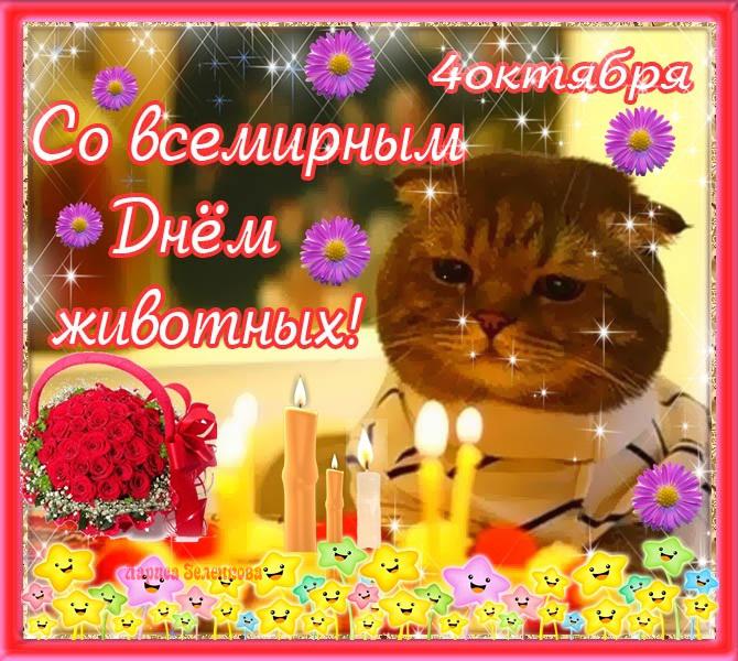 Открытка День защиты животных - Открытка с котенком на День Рождения - розы и свечи | Красивая открытка #4