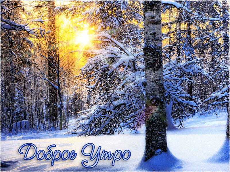 Открытка Открытки доброе зимнее утро - Доброе утро - зимняя открытка с солнцем | Красивая открытка #24