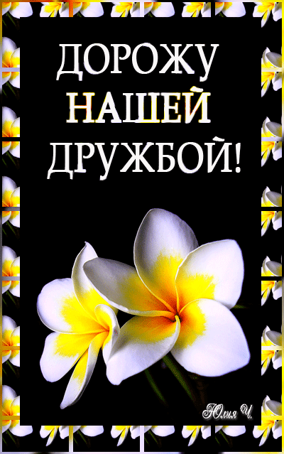 Открытка Открытки о дружбе - Белые цветы на фоне желтых и черных элементов | Красивая открытка #100