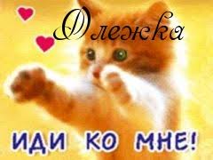 Открытка Открытки с именем Олег  - Открытка с котенком: милый подарок! | Красивая открытка #14