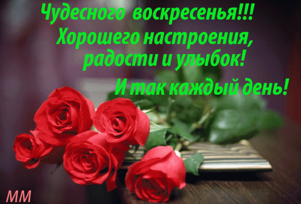 Открытка Открытки на воскресенье - Открытка с красными розами и книгой | Красивая открытка #73