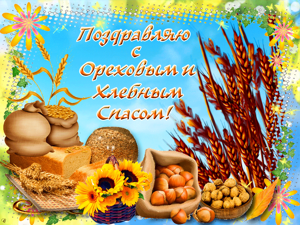 Открытка Ореховый спас - Пшеница, орехи, подсолнух: поздравления с праздником | Красивая открытка #174
