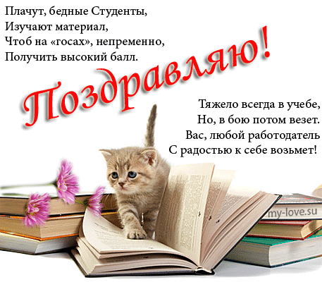 Открытка Открытки с днем студента - Открытка с котенком на книгах: милая картинка | Красивая открытка #28