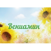 Открытка открытки с именем Вениамин  - Открытка с подсолнухами: летнее настроение | Красивая открытка #9