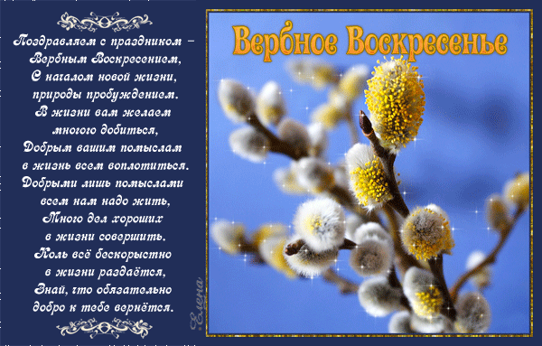 Открытка С вербным воскресеньем - Веточки вербы: открытка с цветами ивовых соцветий | Красивая открытка #211