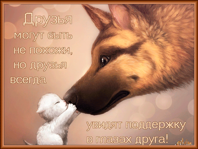 Открытка О дружбе - Собака и котенок: милая открытка с друзьями | Красивая открытка #131