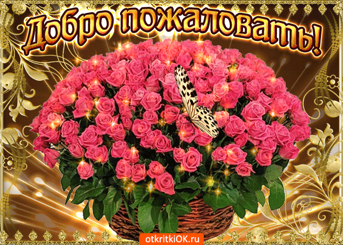 Открытка Добро пожаловать - Открытка с розами и бабочкой — купить онлайн | Красивая открытка #20