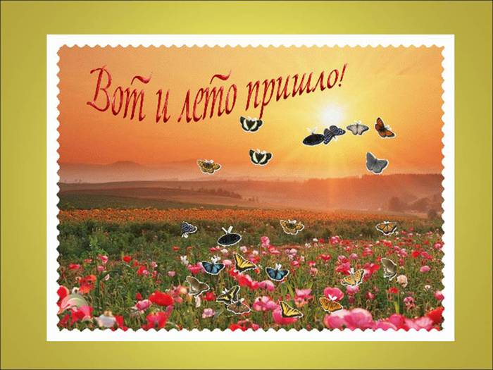 Открытка открытки с первым днем лета  - Поле маков, восход солнца, бабочки | Красивая открытка #12