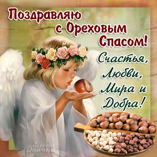 Открытка Открытки с Ореховым Спасом - Открытка с ангелом и орехами | Красивая открытка #18
